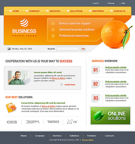 Website Template #16531