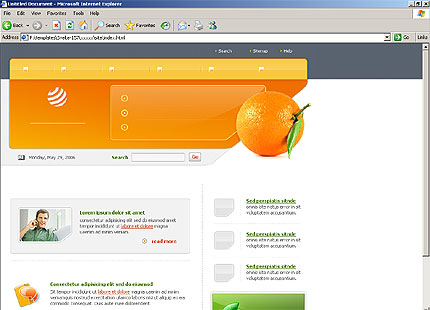 Website Template #16531