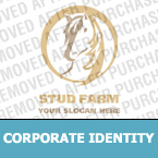 Corporate Identity Template  #16552