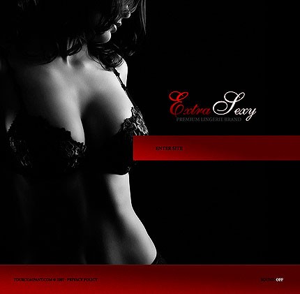 Website Template #16589