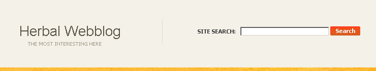 Website Template #16692