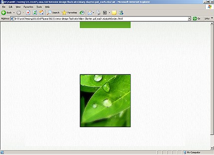 Website Template #16741