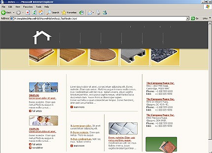 Website Template #16825
