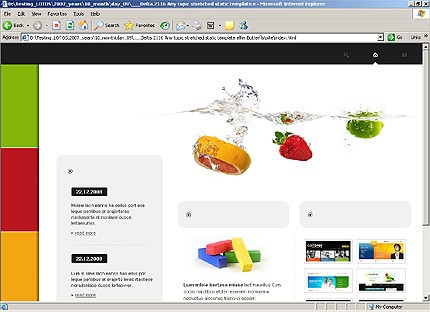 Website Template #16884