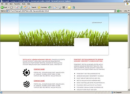Website Template #16923