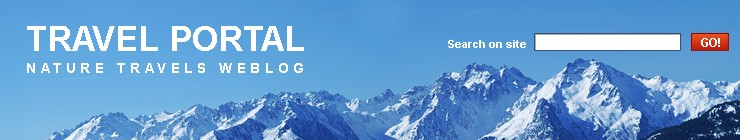 Website Template #16966