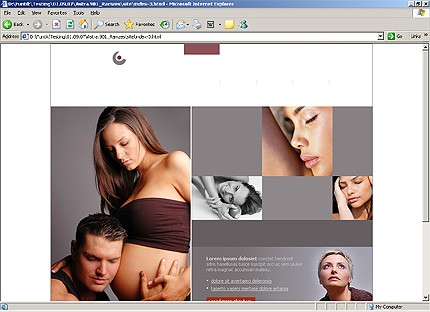 Website Template #16991