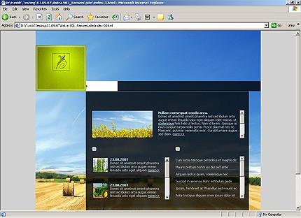 Website Template #17035