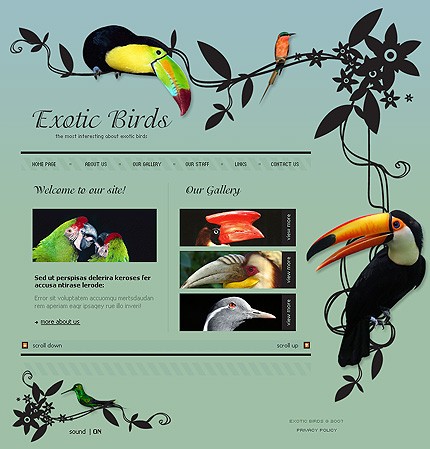 Website Template #17183