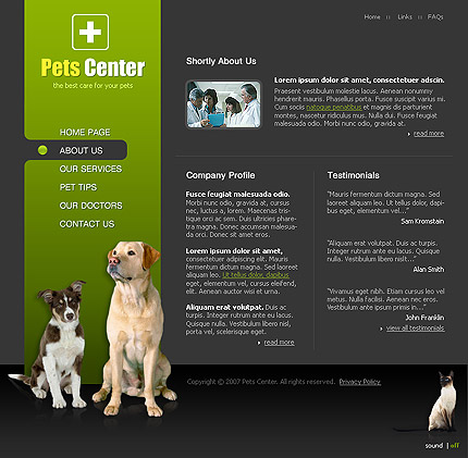 Website Template #17239