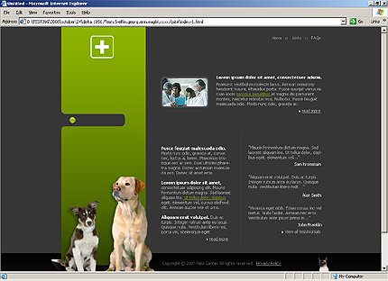 Website Template #17239