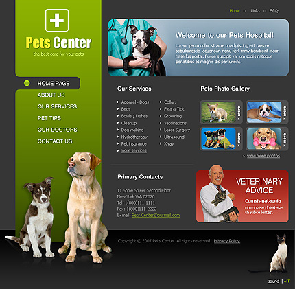 Website Template #17239