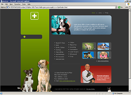 Website Template #17239
