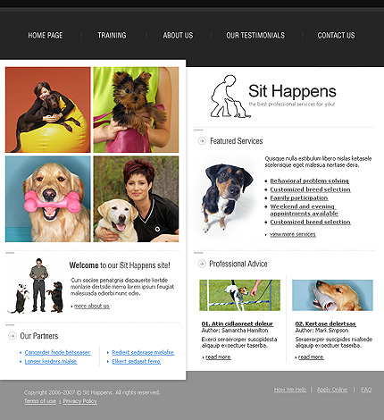 Website Template #17331