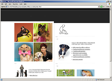 Website Template #17331