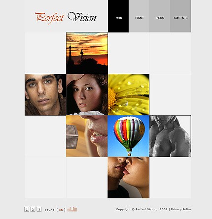 Website Template #17385