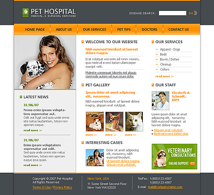 Website Template #17396