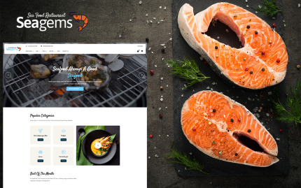 Website Templates