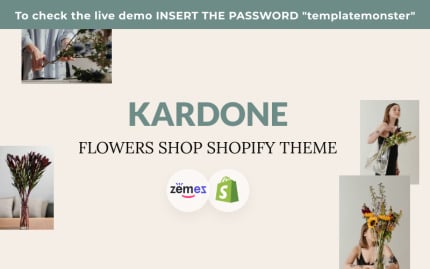 Shopify Themes