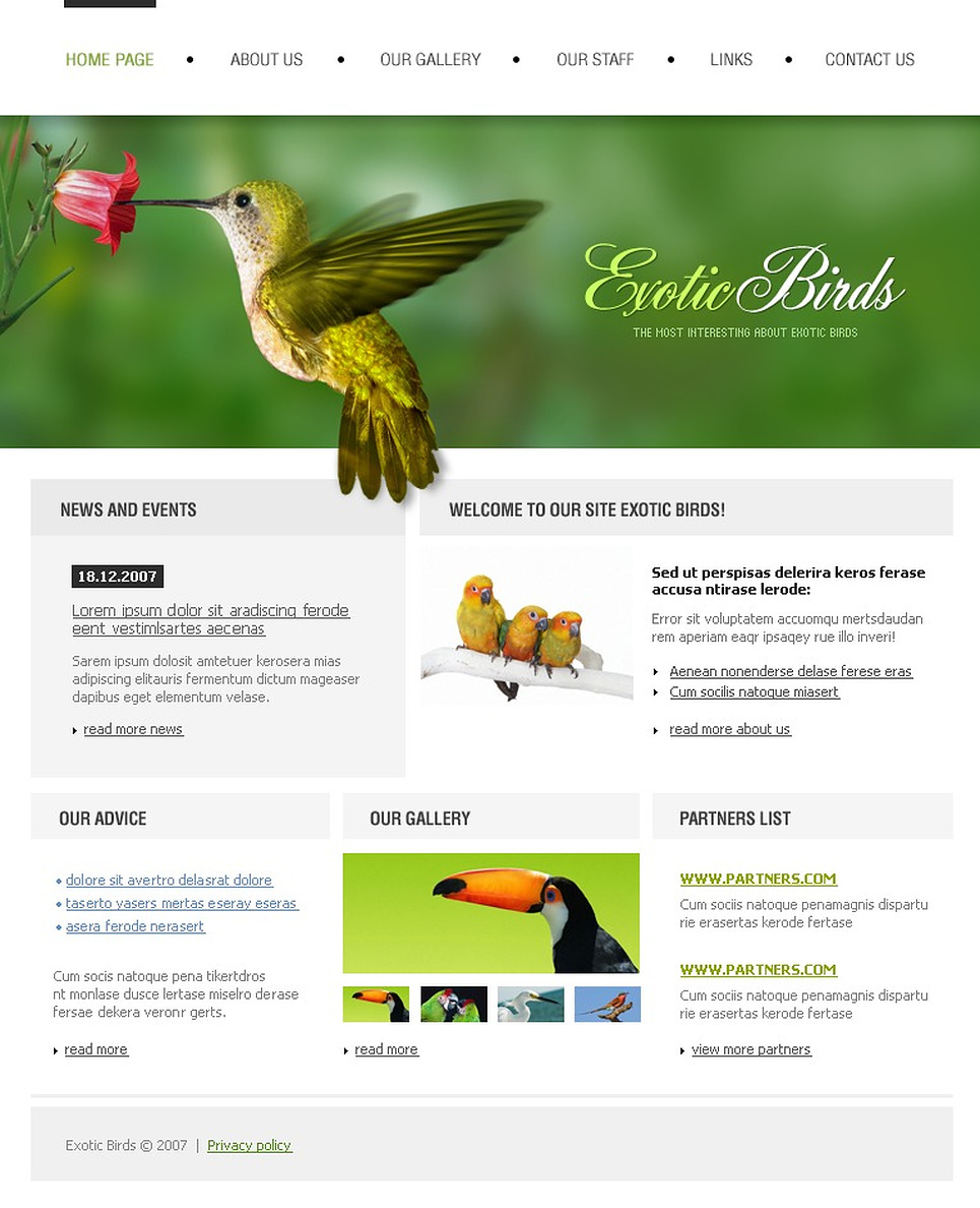 birds-website-template-17419