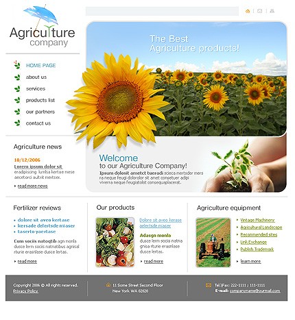 Website Template #17443