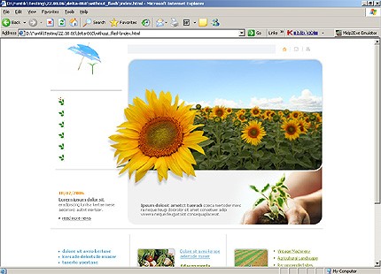 Website Template #17443