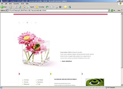 Website Template #17451