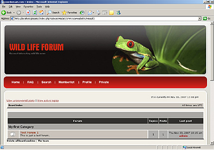 Website Template #17462