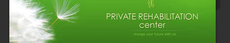 Website Template #17471