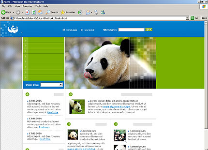 Website Template #17585