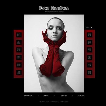 Website Template #17733