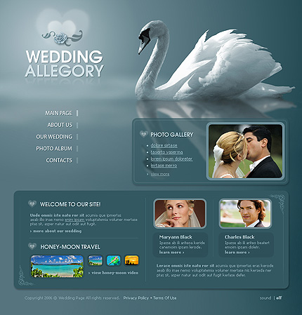 Website Template #17756