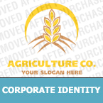Corporate Identity #17805