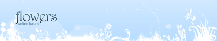 Website Template #17900