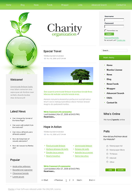 Website Template #17947