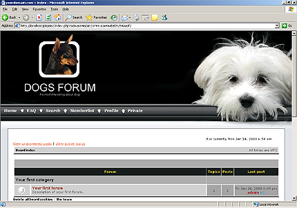 Website Template #17955