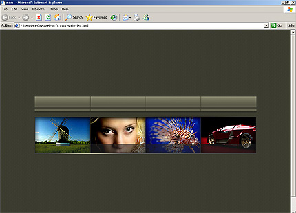 Website Template #18005