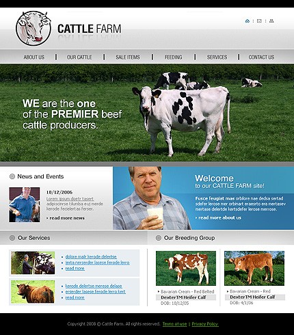 Website Template #18119