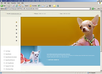 Website Template #18263
