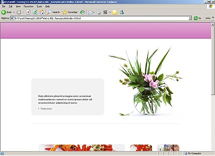 Website Template #18309