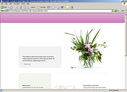 Website Template #18309