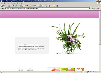 Website Template #18309