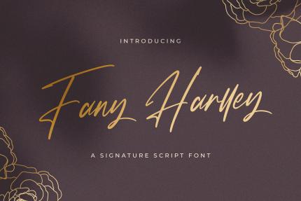 Fonts