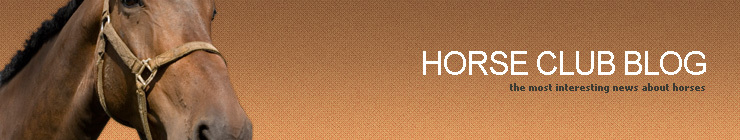 Website Template #18501