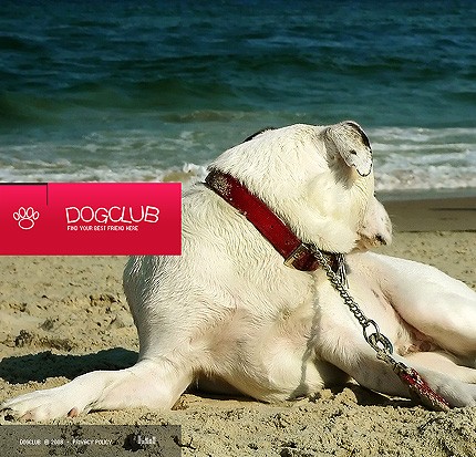 Website Template #18690