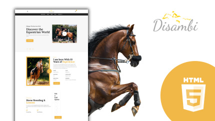 Website Templates