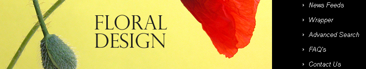 Website Template #19059