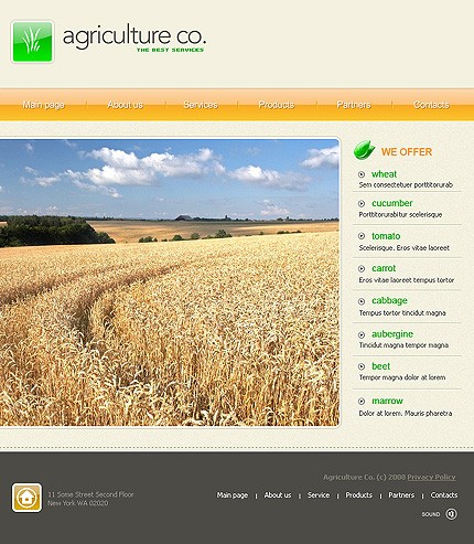 Website Template #19195