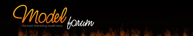 Website Template #19224