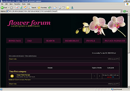 Website Template #19231